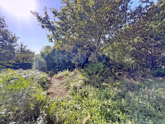 Quinta T1 para Venda em Venade e Azevedo Foto 18