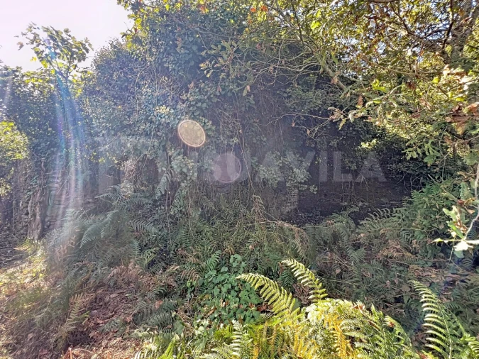 Quinta T1 para Venda em Venade e Azevedo Foto 19