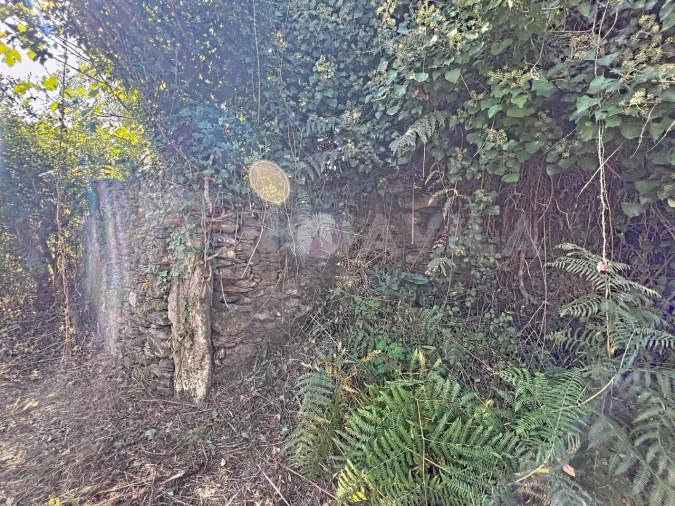 Quinta T1 para Venda em Venade e Azevedo Foto 22