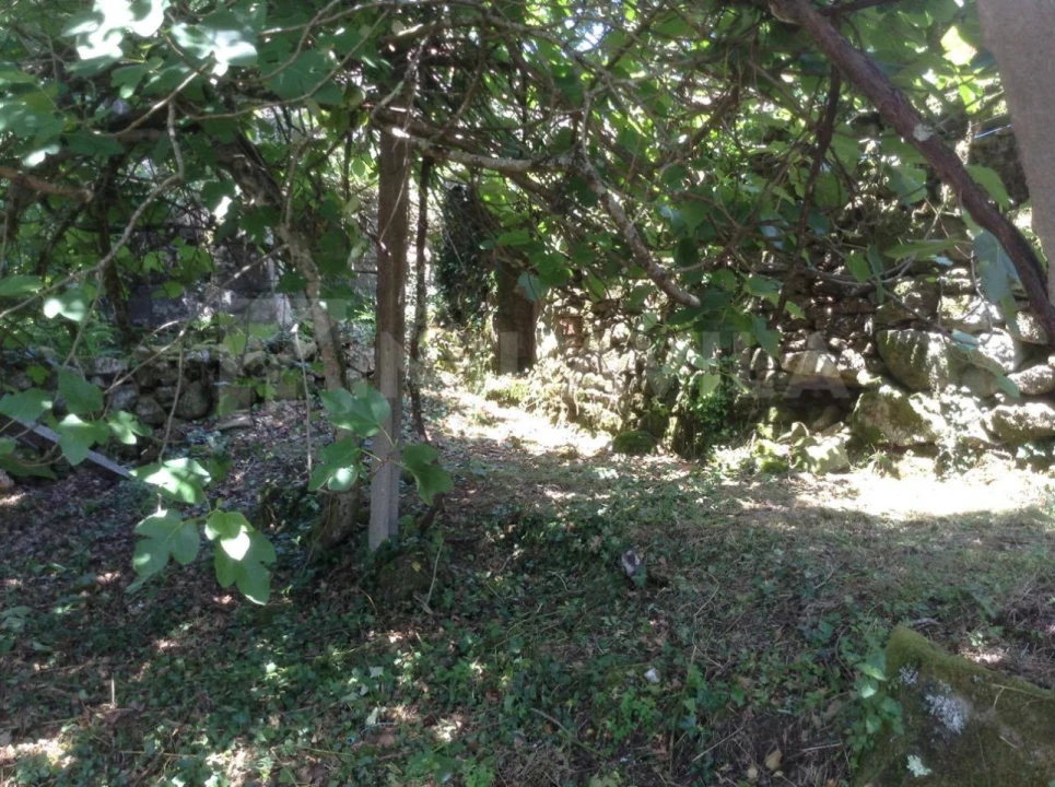 Moradia T3 para Venda em Romarigães Foto 9