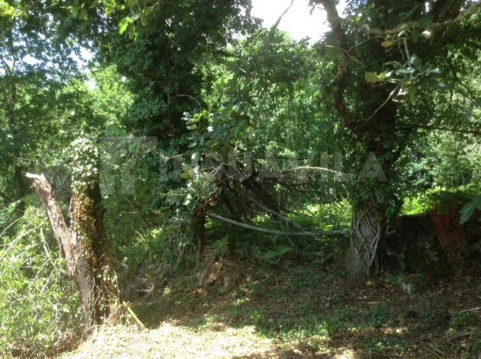 Moradia T3 para Venda em Romarigães Foto 11