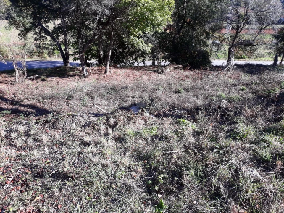 Moradia T3 para Venda em Venade e Azevedo Foto 6