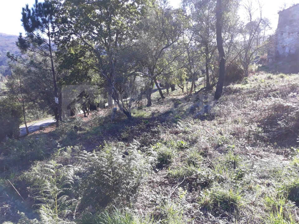 Moradia T3 para Venda em Venade e Azevedo Foto 14