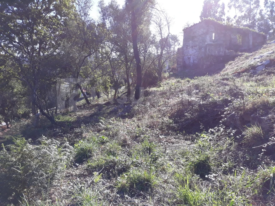 Moradia T3 para Venda em Venade e Azevedo Foto 21