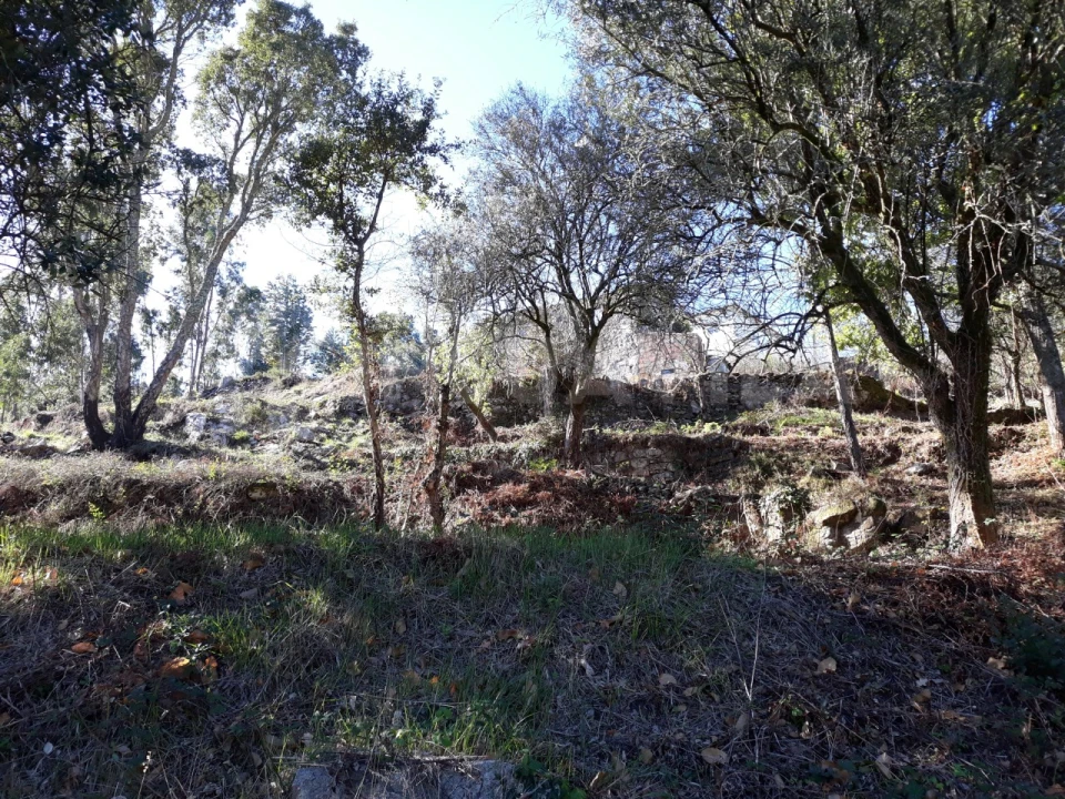 Moradia T3 para Venda em Venade e Azevedo Foto 24
