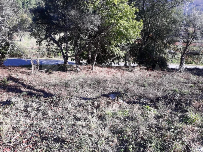 Moradia T3 para Venda em Venade e Azevedo Foto 27