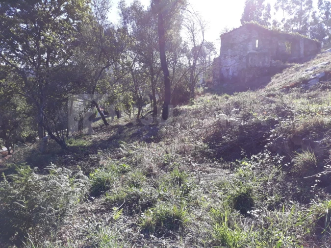 Moradia T3 para Venda em Venade e Azevedo Foto 29