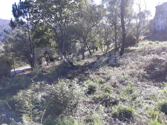 Moradia T3 para Venda em Venade e Azevedo Foto 30