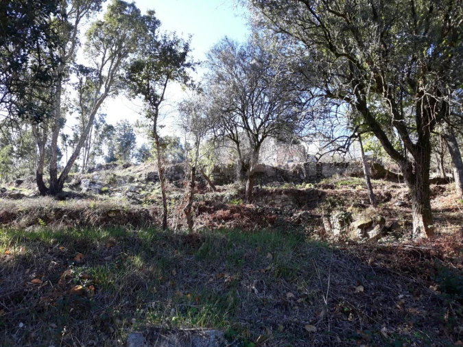 Moradia T3 para Venda em Venade e Azevedo Foto 24