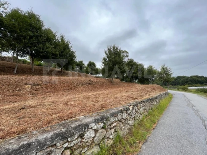 Terreno para Venda em Caminha (Matriz) e Vilarelho Foto 4