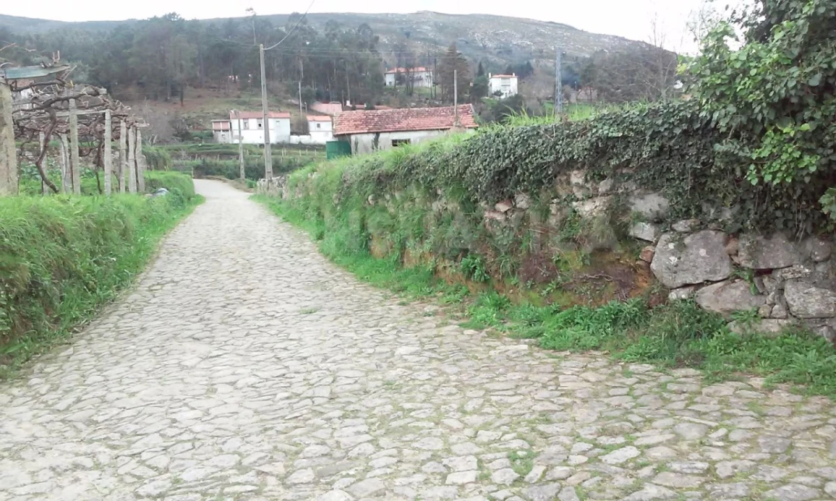 Terreno para Venda em Venade e Azevedo Foto 7