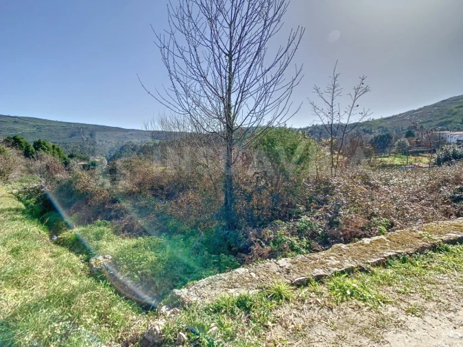 Terreno para Venda em Venade e Azevedo Foto 6