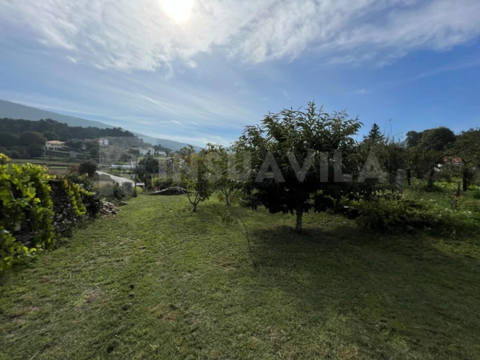 Moradia T3 para Venda em Venade e Azevedo Foto 14