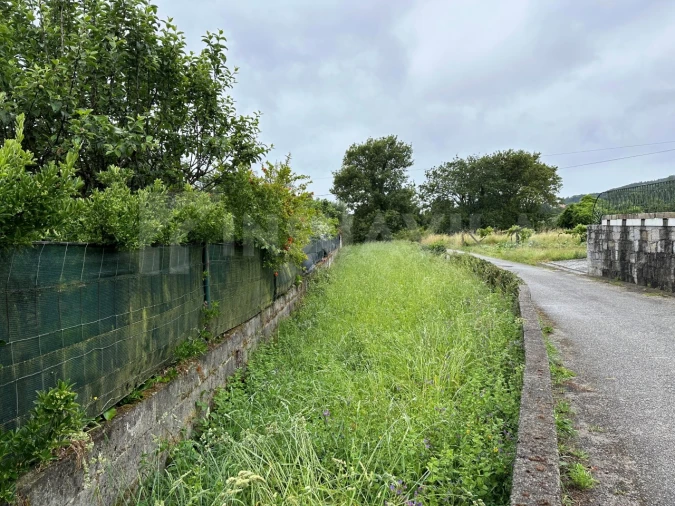 Terreno para Venda em Vila Praia de Ancora Foto 5