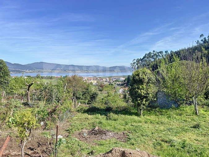 Terreno para Venda em Caminha (Matriz) e Vilarelho Foto 13