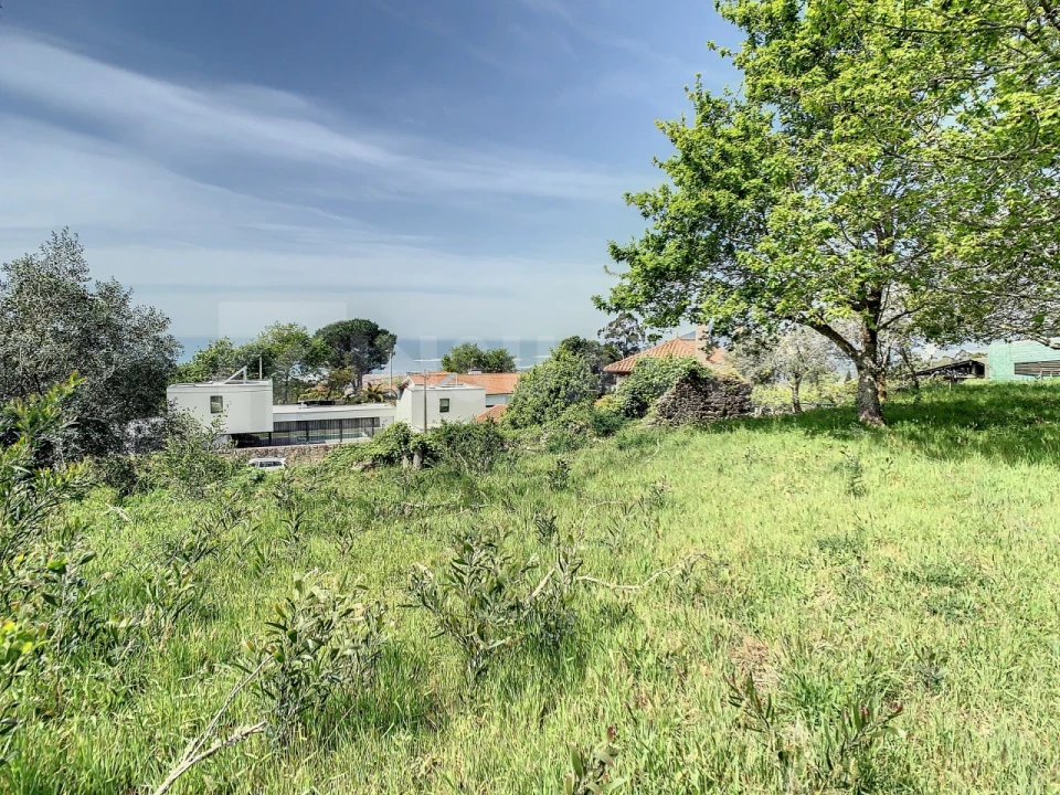 Terreno para Venda em Moledo e Cristelo Foto 6