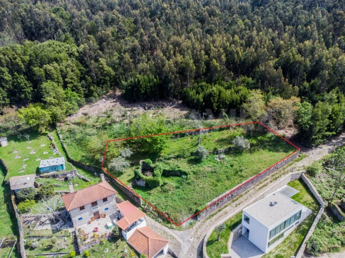 Terreno para Venda em Moledo e Cristelo