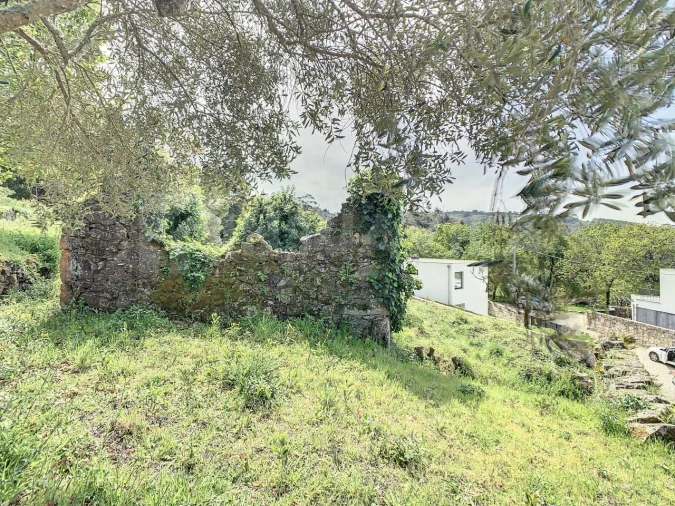 Terreno para Venda em Moledo e Cristelo Foto 7
