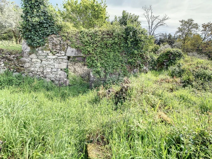 Terreno para Venda em Moledo e Cristelo Foto 8