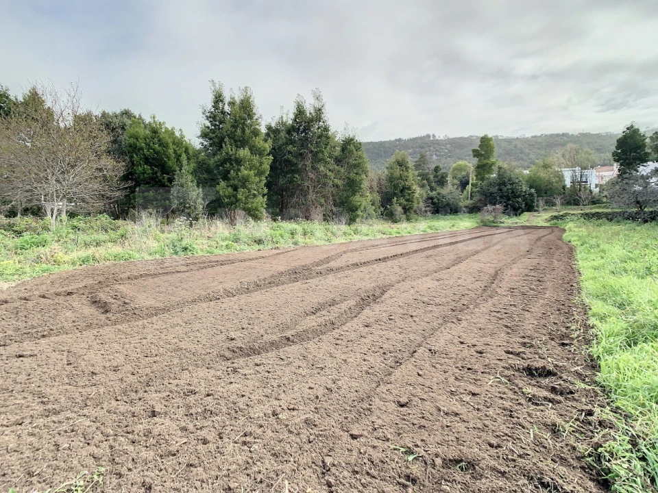 Terreno para Venda em Moledo e Cristelo Foto 7