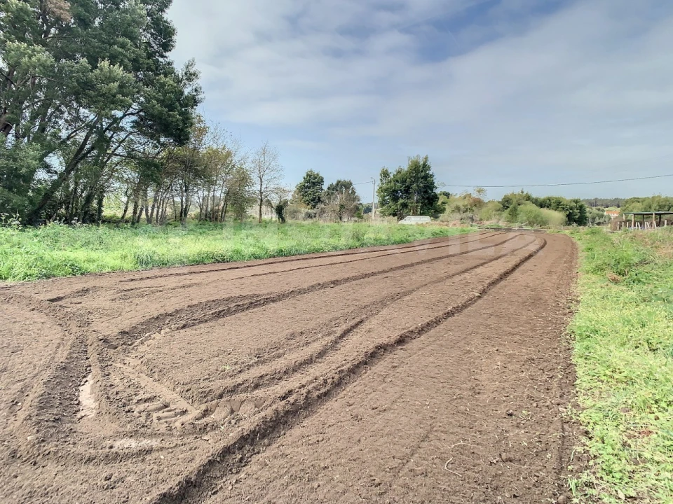 Terreno para Venda em Moledo e Cristelo Foto 8