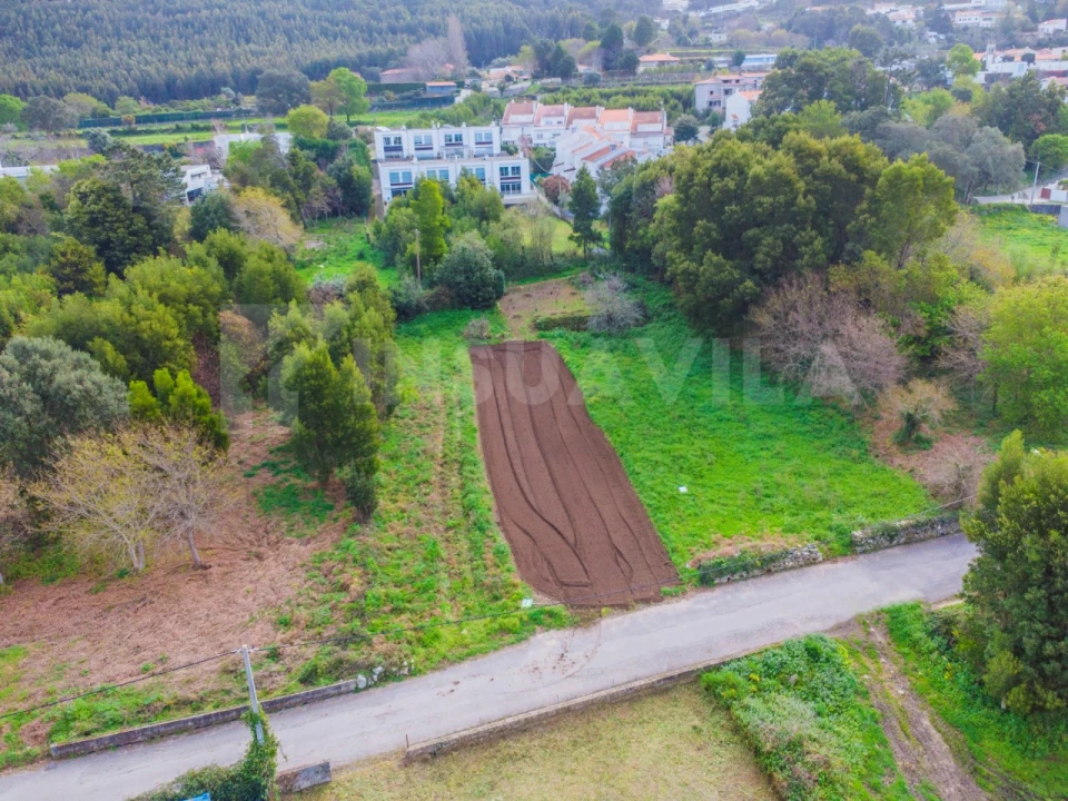 Terreno para Venda em Moledo e Cristelo Foto 12