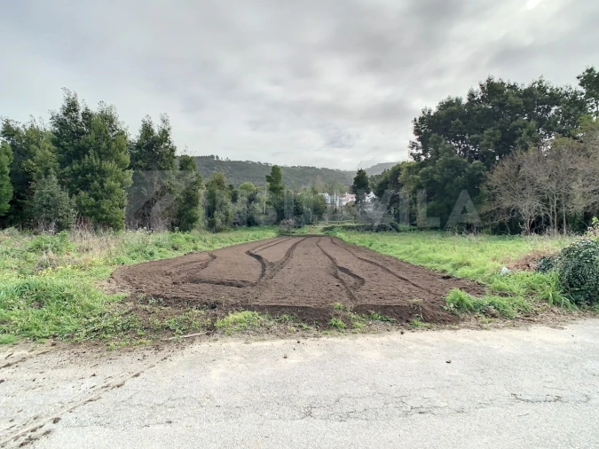 Terreno para Venda em Moledo e Cristelo Foto 5