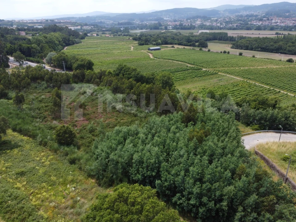 Terreno para Venda em Ganfei Foto 7
