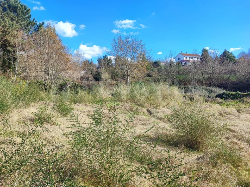 Terreno para Venda em Seixas Foto 13