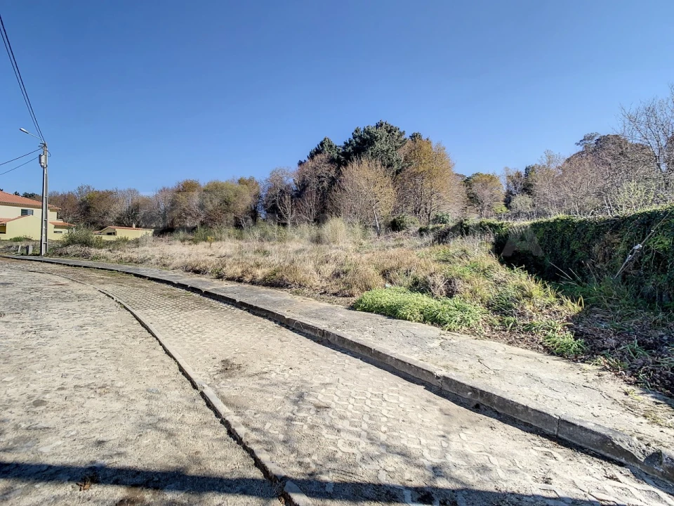 Terreno para Venda em Seixas Foto 8