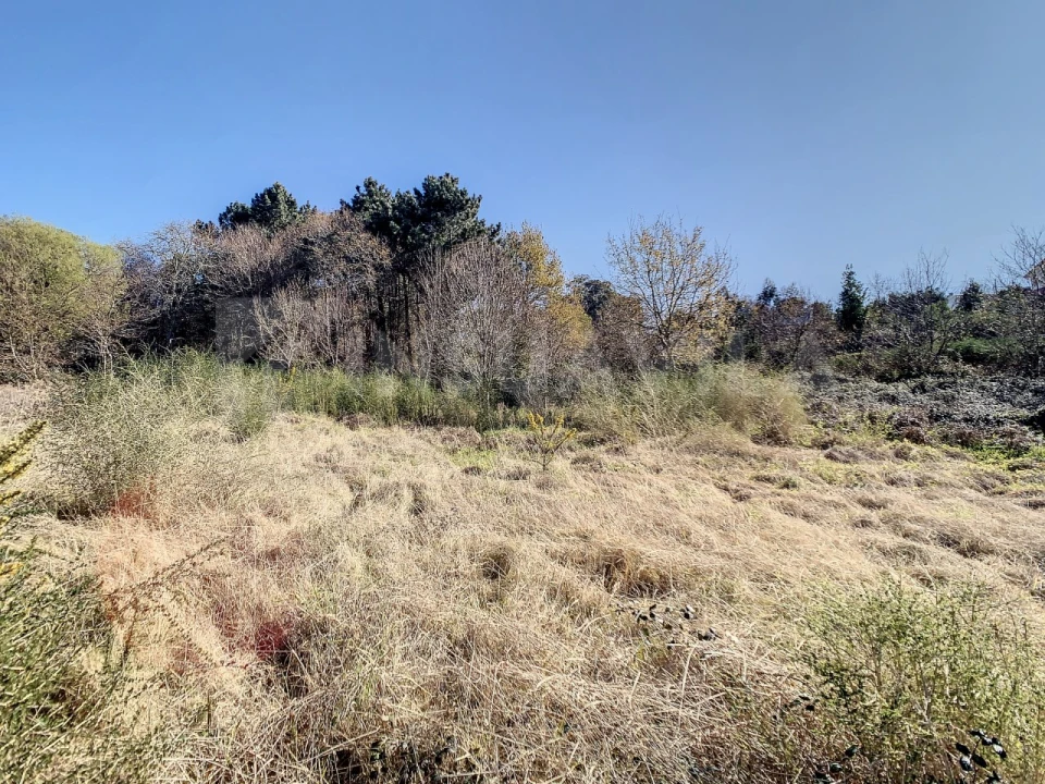 Terreno para Venda em Seixas Foto 9