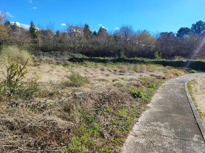 Terreno para Venda em Seixas Foto 11