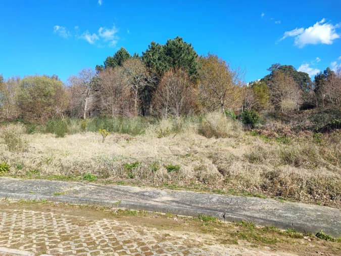 Terreno para Venda em Seixas Foto 12