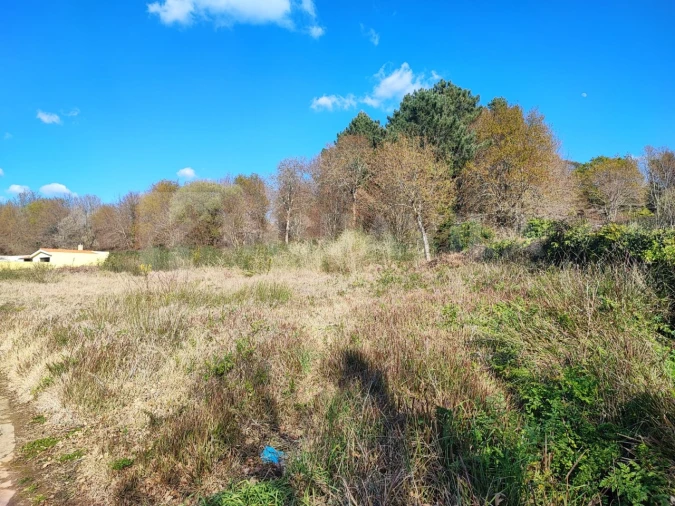 Terreno para Venda em Seixas Foto 14
