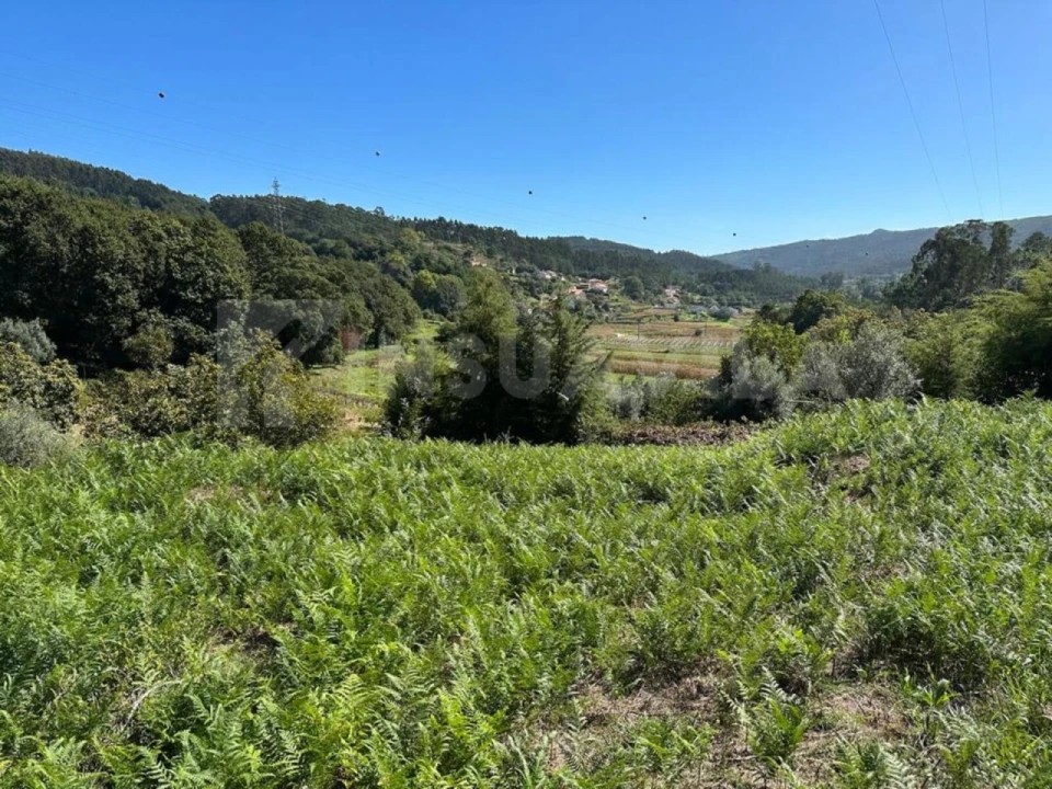 Terreno para Venda em Gondar e Orbacém Foto 4