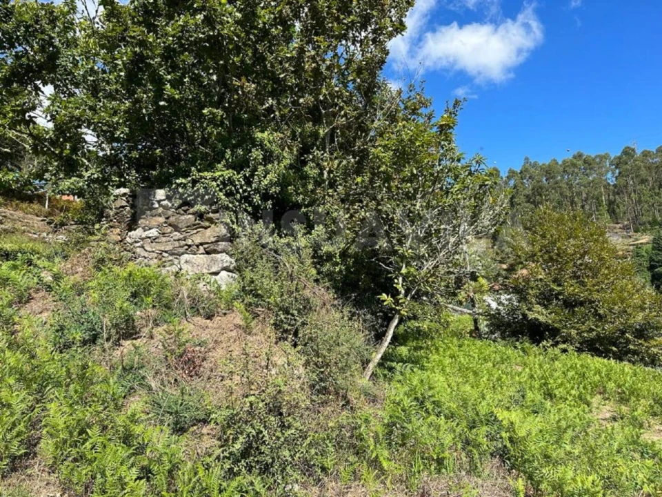 Terreno para Venda em Gondar e Orbacém Foto 10