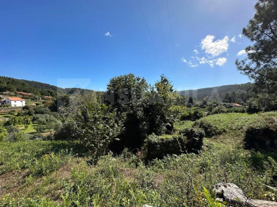 Terreno para Venda em Gondar e Orbacém Foto 14