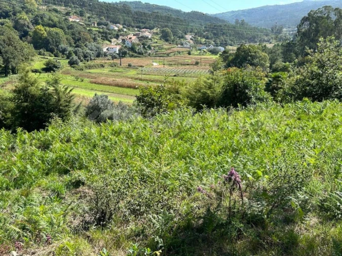 Terreno para Venda em Gondar e Orbacém