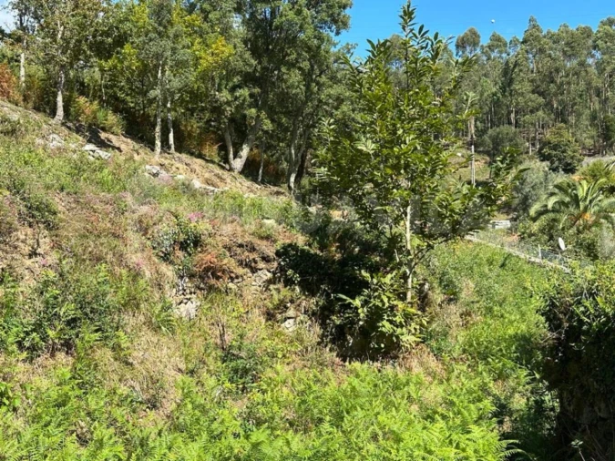 Terreno para Venda em Gondar e Orbacém Foto 3