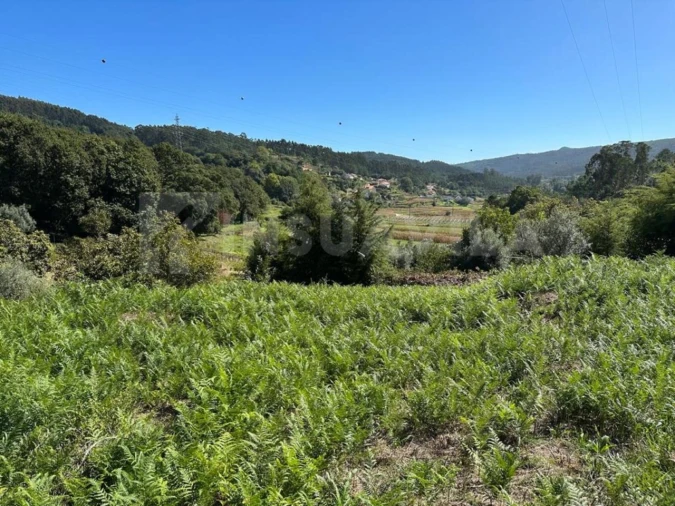 Terreno para Venda em Gondar e Orbacém Foto 4