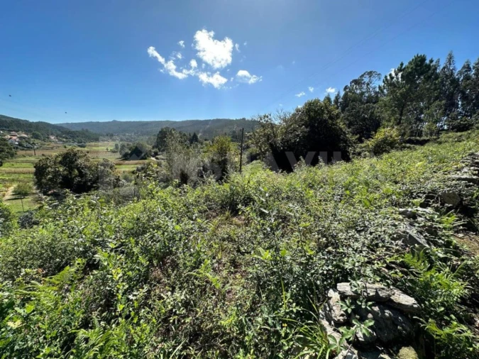 Terreno para Venda em Gondar e Orbacém Foto 9