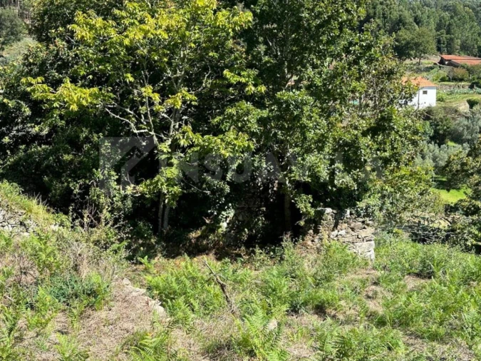 Terreno para Venda em Gondar e Orbacém Foto 11