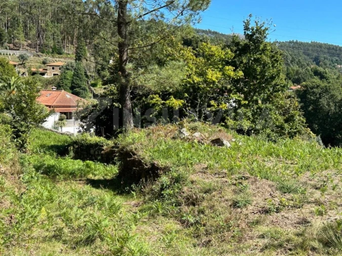 Terreno para Venda em Gondar e Orbacém Foto 13