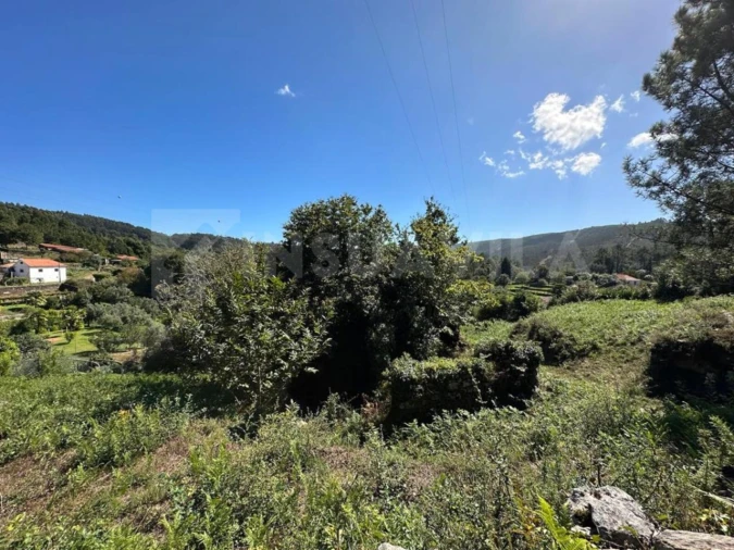 Terreno para Venda em Gondar e Orbacém Foto 14