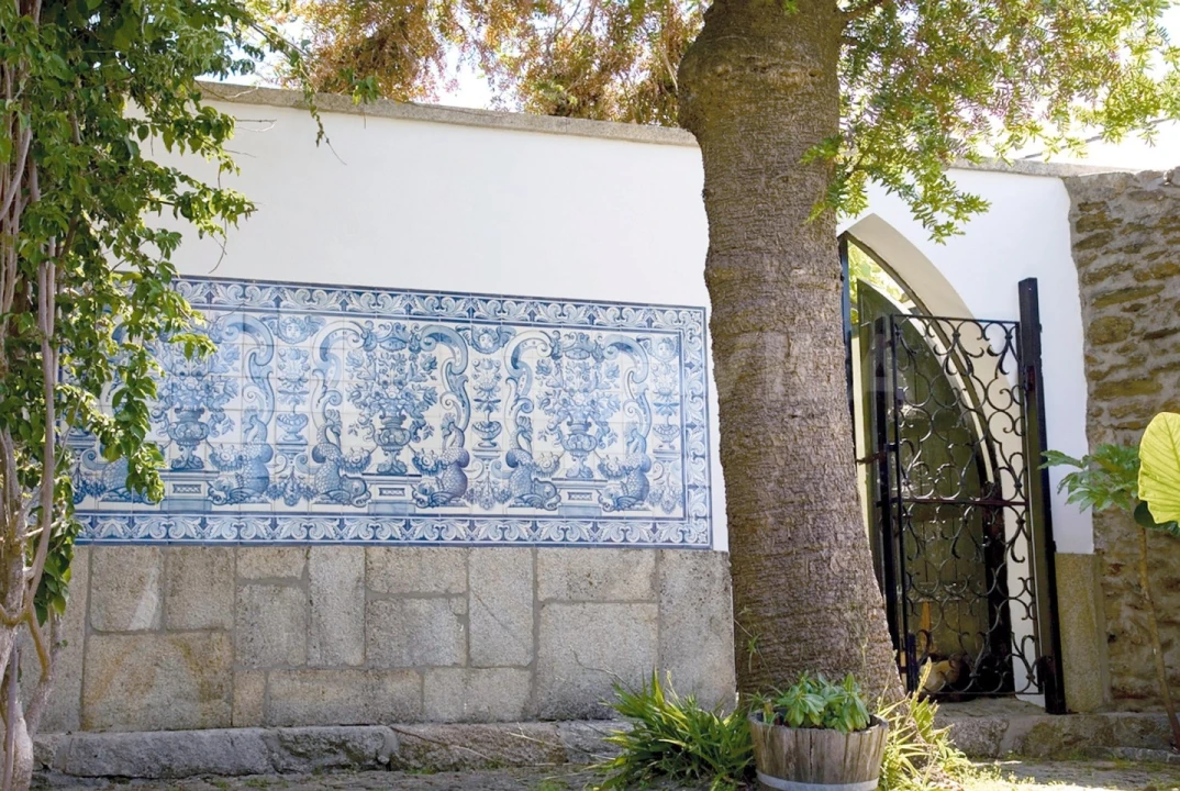 Quinta T7 para Venda em Seixas Foto 21