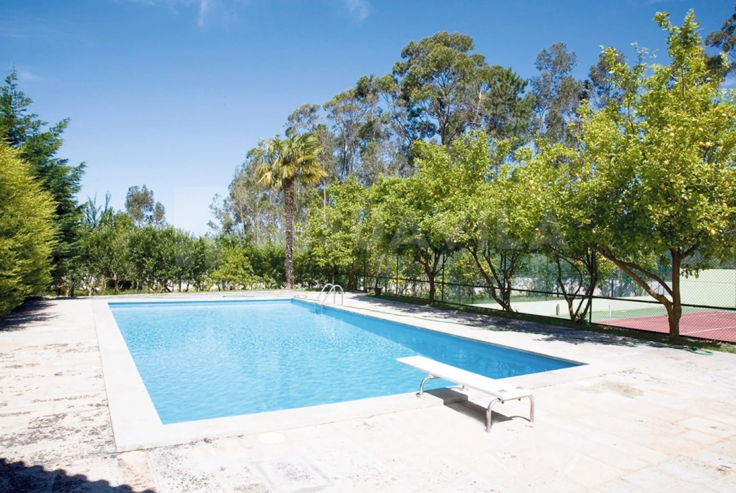 Quinta T7 para Venda em Seixas Foto 28