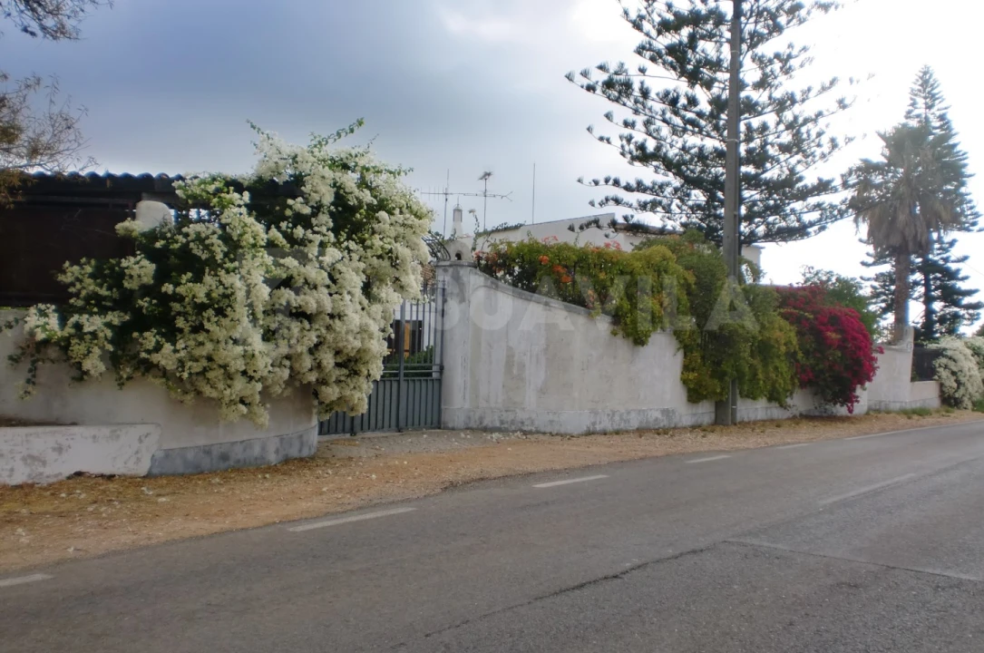 Quinta T7 para Venda em Seixas Foto 43