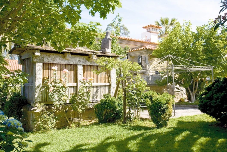 Quinta T7 para Venda em Seixas Foto 19