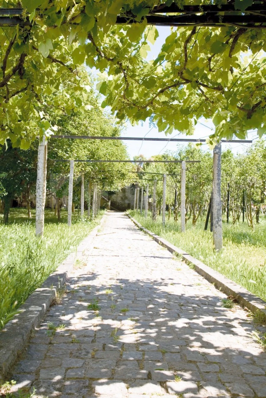 Quinta T7 para Venda em Seixas Foto 32