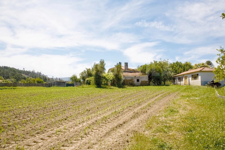 Quinta T7 para Venda em Seixas Foto 40